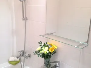 Pronájem bytu 2+kk, Ostrava - Dubina, Antonína Poledníka, 44 m2