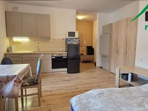 Pronájem bytu 1+kk, Tachov, Boženy Němcové, 27 m2