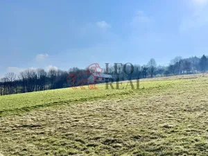 Prodej rodinného domu, Lopeník, 250 m2