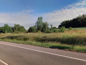 Prodej komerčního pozemku, Dřevěnice, 11187 m2