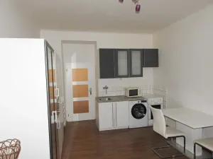 Pronájem bytu 1+kk, Praha - Žižkov, Žerotínova, 24 m2