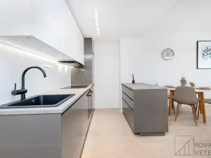 Prodej bytu 4+kk, Praha - Žižkov, Pod lipami, 75 m2