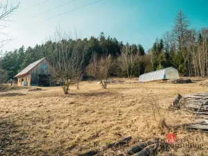 Prodej pozemku pro bydlení, Švihov, 22356 m2