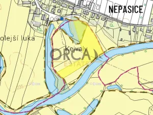 Prodej louky, Běleč nad Orlicí, 15624 m2