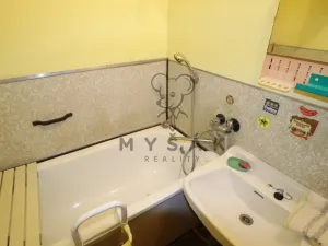 Prodej bytu 2+1, Jihlava, U Pivovaru, 54 m2