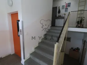 Prodej bytu 2+1, Jihlava, U Pivovaru, 54 m2