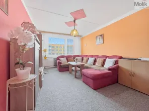 Prodej bytu 2+kk, Most, Františka Malíka, 39 m2