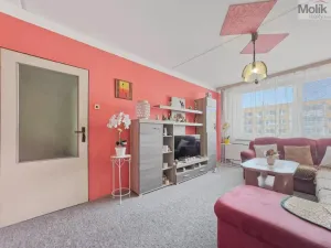 Prodej bytu 2+kk, Most, Františka Malíka, 39 m2