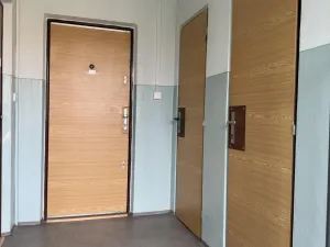 Prodej bytu 2+kk, Most, Františka Malíka, 39 m2