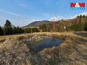 Prodej pozemku, Královec, 16741 m2