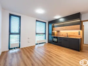 Pronájem bytu 1+kk, Kolín - Kolín III, 30 m2