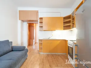 Pronájem bytu 1+1, Brno, Pekařská, 48 m2