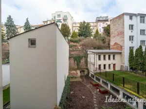 Pronájem bytu 1+1, Brno, Pekařská, 48 m2