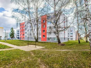 Prodej bytu 2+1, Veselí nad Lužnicí, Pod Markem, 64 m2