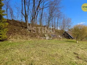 Prodej chalupy, Velké Losiny - Žárová, 90 m2