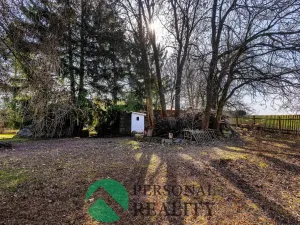 Prodej chalupy, Holetín - Dolní Holetín, 96 m2