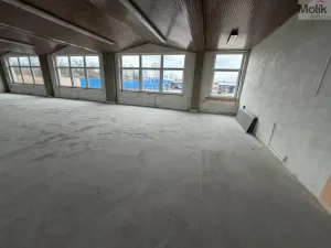 Pronájem skladu, Žatec - Velichov, 275 m2