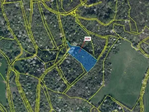 Dražba lesa, Zubrnice, 4610 m2