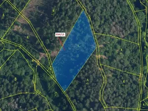 Dražba lesa, Jílové u Držkova, 6213 m2