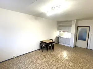 Pronájem bytu 1+kk, Praha - Chodov, Nad Opatovem, 30 m2