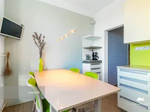 Prodej bytu 2+1, Plzeň - Východní Předměstí, Brojova, 58 m2