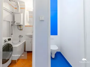 Prodej bytu 2+1, Plzeň - Východní Předměstí, Brojova, 58 m2