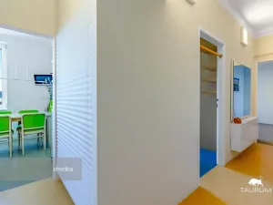 Prodej bytu 2+1, Plzeň - Východní Předměstí, Brojova, 58 m2