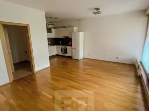 Pronájem bytu 1+kk, Praha - Holešovice, Varhulíkové, 49 m2