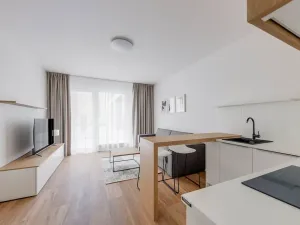 Pronájem bytu 1+kk, Praha - Karlín, Pernerova, 29 m2