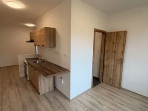 Pronájem bytu 2+1, Chomutov, Školní pěšina, 59 m2