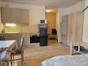 Pronájem bytu 1+kk, Tachov, Boženy Němcové, 27 m2