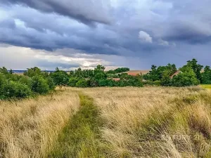 Prodej pozemku pro bydlení, Děčany, 2077 m2