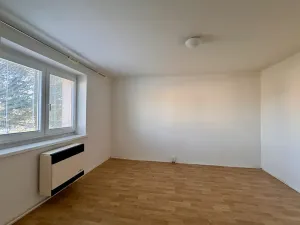 Prodej bytu 1+1, Rybitví, Čapkova, 32 m2