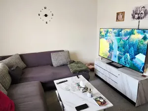 Prodej rodinného domu, Proboštov, U parku, 250 m2