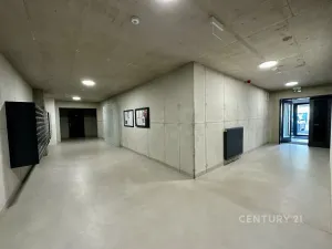 Prodej bytu 3+kk, Praha - Vysočany, Kolbenova, 60 m2