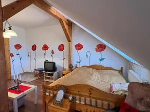 Prodej bytu 2+kk, Karlovy Vary, Ondřejská, 97 m2