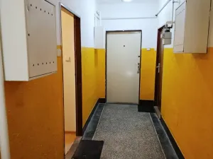 Prodej bytu 1+1, Praha - Žižkov, Žerotínova, 34 m2