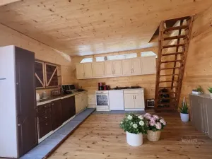 Prodej rodinného domu, Aš - Kopaniny, 250 m2