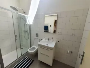 Pronájem bytu 1+kk, Plzeň - Vnitřní Město, Veleslavínova, 36 m2