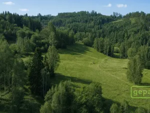 Prodej pozemku pro bydlení, Karlovy Vary - Olšová Vrata, 24125 m2