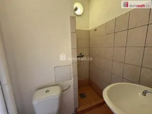 Pronájem bytu 1+kk, Příbram - Příbram I, Riegrova, 23 m2