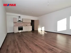 Pronájem bytu 1+kk, Plzeň, Koterovská, 42 m2