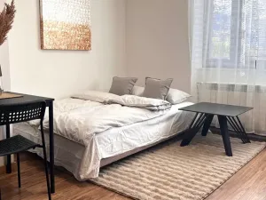 Prodej bytu 2+kk, Ostravice, 37 m2