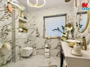 Prodej rodinného domu, Dyje, 224 m2