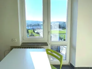 Prodej bytu 1+1, Brno, Křížkovského, 37 m2