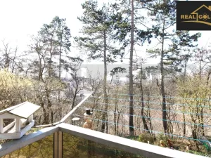 Pronájem bytu 2+1, Třebíč, Obránců míru, 54 m2