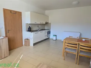 Prodej rodinného domu, Brod nad Dyjí, 34 m2