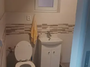 Prodej rodinného domu, Osvětimany, 220 m2