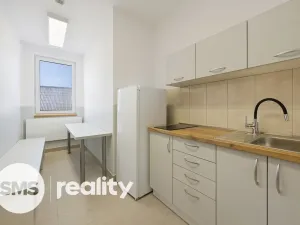 Pronájem skladu, Valašské Meziříčí - Bynina, 767 m2