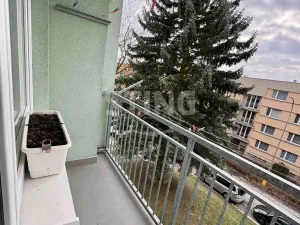 Prodej bytu 4+1, Ledeč nad Sázavou, Stínadla, 87 m2